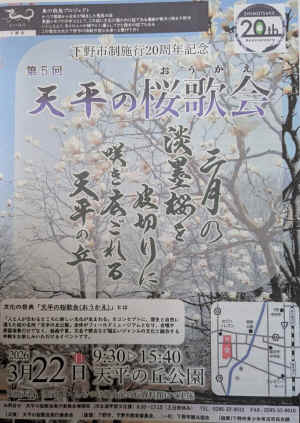 19843.jpg (309073 �o�C�g)